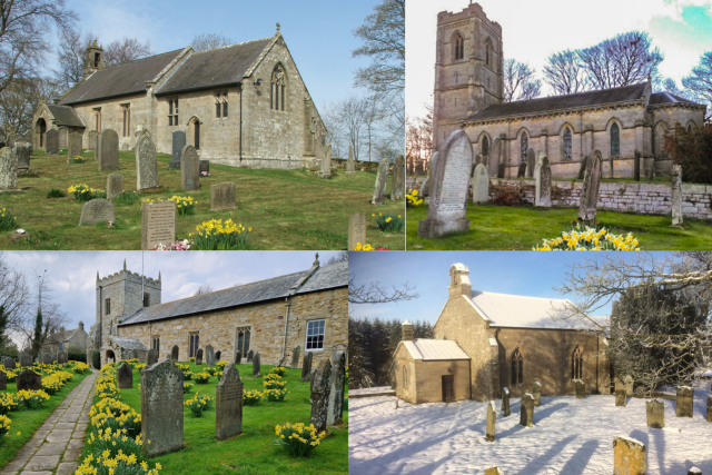 Untitled design (5).png